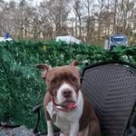 Chris Bonafide - @cbfide - Instagram