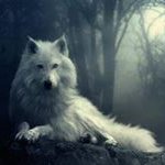 Chris Bones - @boneschris - Instagram