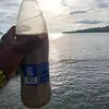 Z O E Y🇻🇺 - @chris.bong6 - TikTok