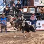 Chris Borghero - @chrisborghero14 - Instagram