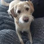 Kris Bornhoft - Facebook