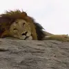 Chris Boshoff - @chris.boshoff2 - TikTok