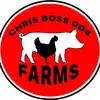 chrisbossoo4 - @chrisboss004 - TikTok