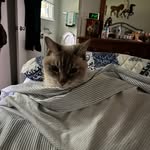 Chris Boyes - @boyes6695 - Instagram