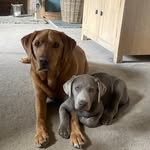 Chris Boyes - @boyes5080 - Instagram