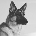 Chris Bramlett Weeks - @speed_kills_26 - Instagram