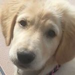 christian brantner - @brantnerchristian - Instagram