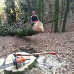 Christoph Brantner - @branti_ - Instagram