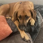 Chris Bratcher - @cbratcher91 - Instagram