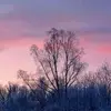 Chris Bratcher - @chris.bratcher3 - TikTok