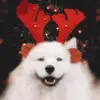 𝗺𝗲𝗺𝗯𝗲𝗿𝘀 𝗳𝗹𝗹𝘄𝗱🎅🏻 - @bratzchristmas - TikTok