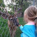 Chris Braund - @chris.braund - Instagram