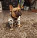 Chris Brawley - Facebook
