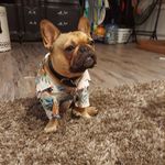 Chris Brawley - @chrislikestoeatalot - Instagram