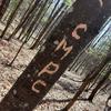 Chris Breecher876 - @chrisbreecher0 - TikTok