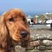 Chris Brees - Facebook