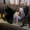 Chris@teambreger - @chaille.fredvic - TikTok