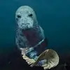 chris.07 - @chris.brehm07 - TikTok