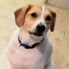 chrisbrehm1 - @chrisbrehm1 - TikTok