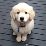 Chris Breheny - @chrisbreheny - Instagram