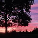Dr.Christine Breitinger - @christine.breitinger - Instagram