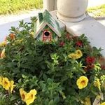 Chris Bremer - @nanabremer - Instagram