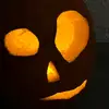 Chris - @chris.bremer - TikTok