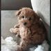 Christine Brenchley - Facebook