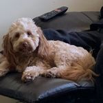 Christine Brenchley - @christine.brenchley - Instagram
