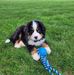Chris Bresler - Facebook