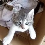 Christine Brevard - Facebook