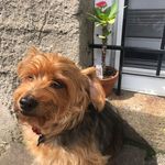 Chris Brew - @brewerswild_life - Instagram