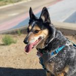 Chris Brewington - @brewingtonfp - Instagram
