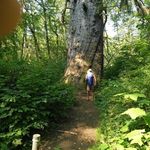 Chris Brickman - @santa_craws - Instagram