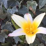 Chris Brigandi - @brigandichris - Instagram