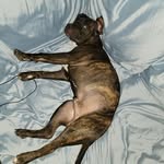 Christopher Brightbill - @brightbillchristopher - Instagram