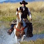 Chris Brighton - @brighton173 - Instagram