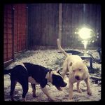 Chris - @chris_brighton356 - Instagram
