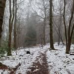 Chris Brightwell - @chris.brightwell.10 - Instagram
