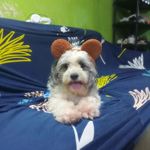 Chris Joy Brillantes - @chrisjoybrillantes - Instagram