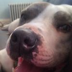 Christian Bringhurst - @bringhurst.christian - Instagram