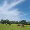Chris Brinkmann - @chris.brinkmann4 - TikTok