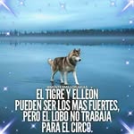 Chris Briones - @chris.briones.338 - Instagram