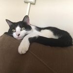 Chris Ann Brixey - @chrysantmum - Instagram