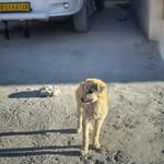 Christine Broadfoot - @jlasisusort - Instagram