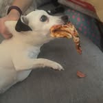 Mr. Broadfoot - @christian.broadfoot - Instagram