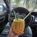 Chris Broadway - @elephant.707173 - Instagram