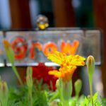 chris brody - @gods_nature_wonders - Instagram