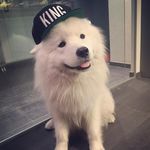 Chris Brookshaw - @grenade_soup_ - Instagram
