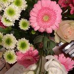 Christine Brouillard - @christine_brouillard - Instagram
